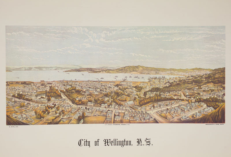 A2 Poster - City of Wellington, NZ