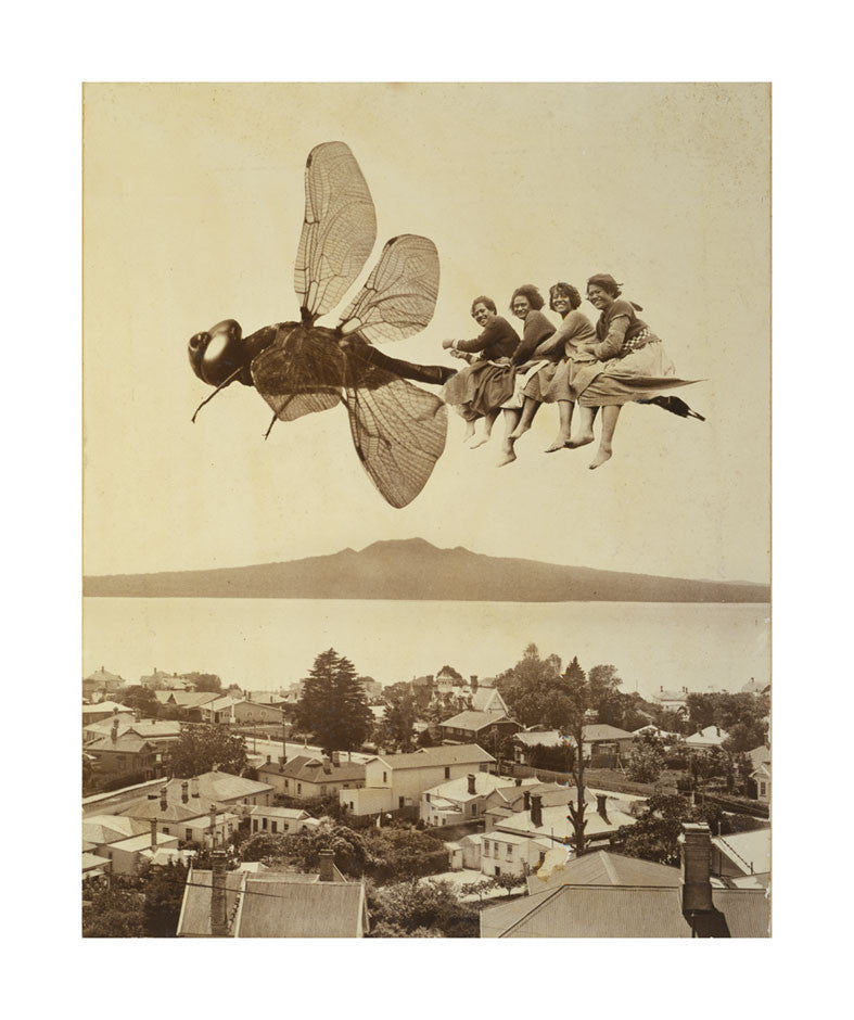 A2 Poster - Dragonfly Over Rangitoto