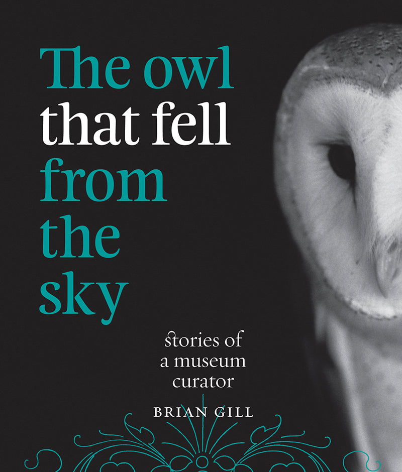 The Owl that Fell From the Sky | by Brian Gill
