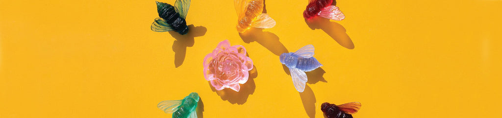Botanicus, Our Natural World in Glass