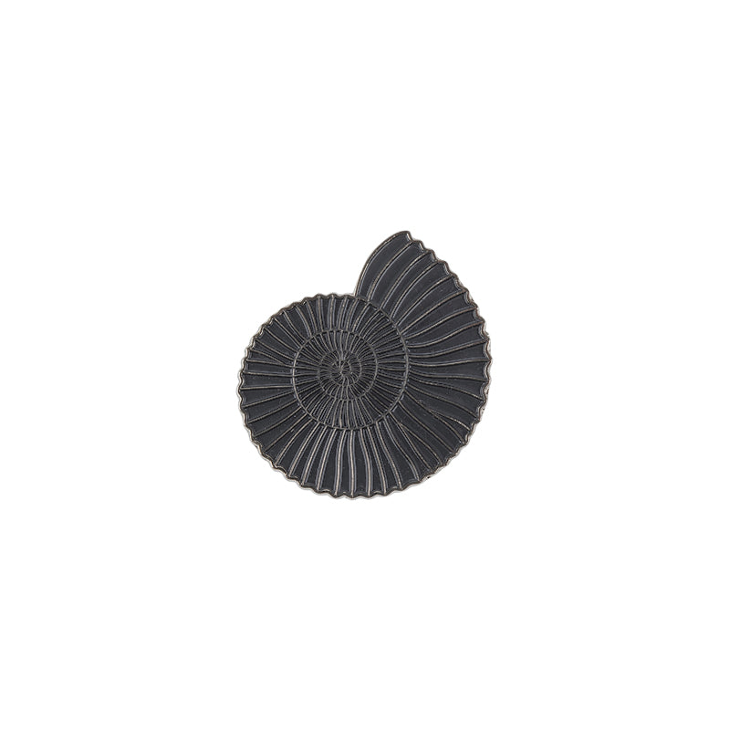 Ammonite Magnet