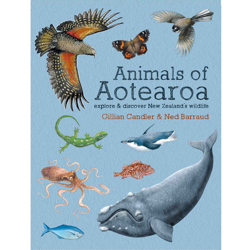 Animals Of Aotearoa: Explore & Discover New Zealand’s Wildlife | by Gillian Candler & Ned Barraud