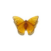 Glass Classic Mount Butterfly Wall Sculpture - Admiral | by Luke Jacomb Studio