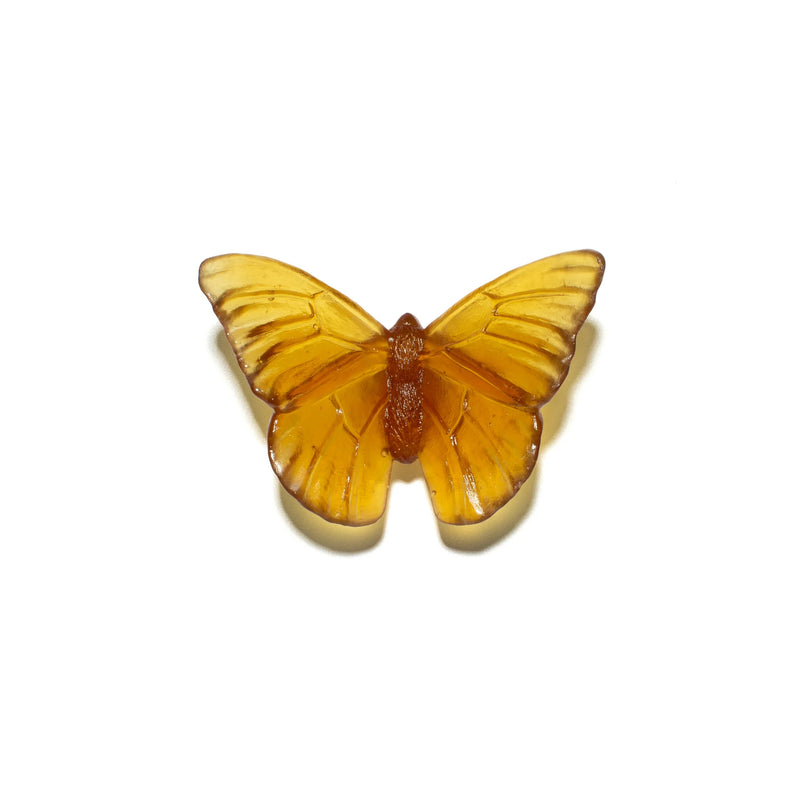 Glass Classic Mount Butterfly Wall Sculpture - Admiral | by Luke Jacomb Studio