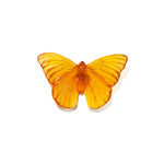 Glass Classic Mount Butterfly Wall Sculpture - Admiral | by Luke Jacomb Studio