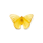 Glass Classic Mount Butterfly Wall Sculpture - Admiral | by Luke Jacomb Studio
