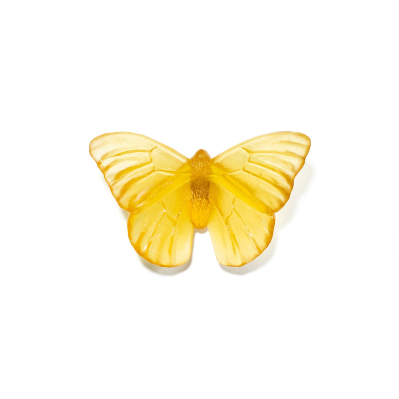 Glass Classic Mount Butterfly Wall Sculpture - Admiral | by Luke Jacomb Studio