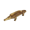 Crocodile Tray