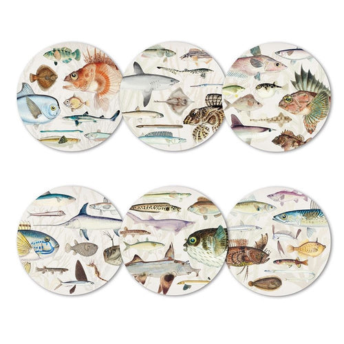 Placemats Fish of NZ - Set of 6