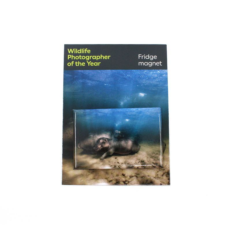 Fridge Magnet - Hippo Nursery