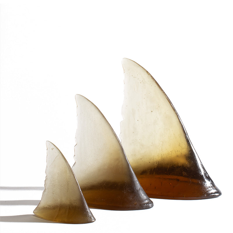 Glass Shark Fin Sculpture - Bronze | by Luke Jacomb Studio