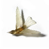 Glass Korimako / Bellbird Wall Sculpture  | by Luke Jacomb Studio