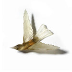 Glass Korimako / Bellbird Wall Sculpture  | by Luke Jacomb Studio