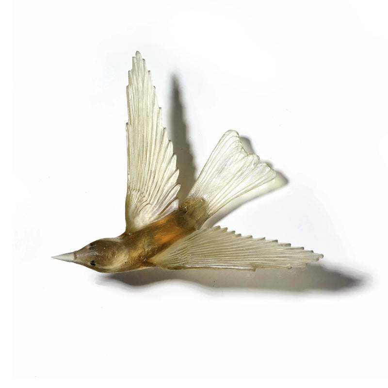 Glass Korimako / Bellbird Wall Sculpture  | by Luke Jacomb Studio