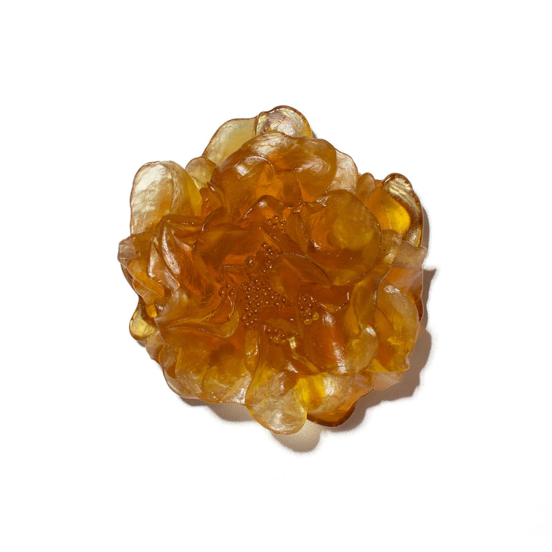 Glass Camelia Wall Sculpture | by Luke Jacomb Studio