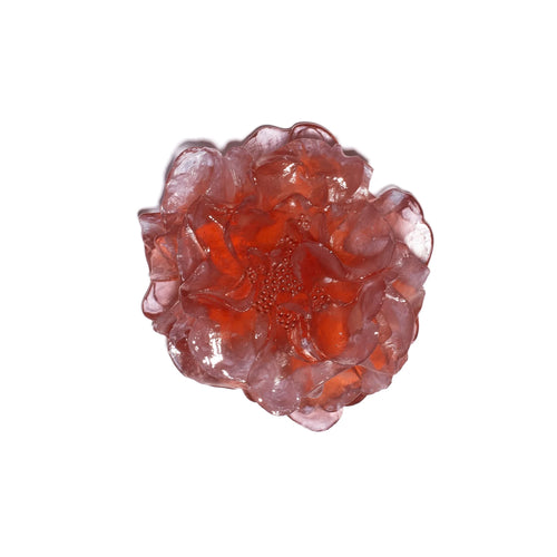 Glass Camelia Wall Sculpture | by Luke Jacomb Studio