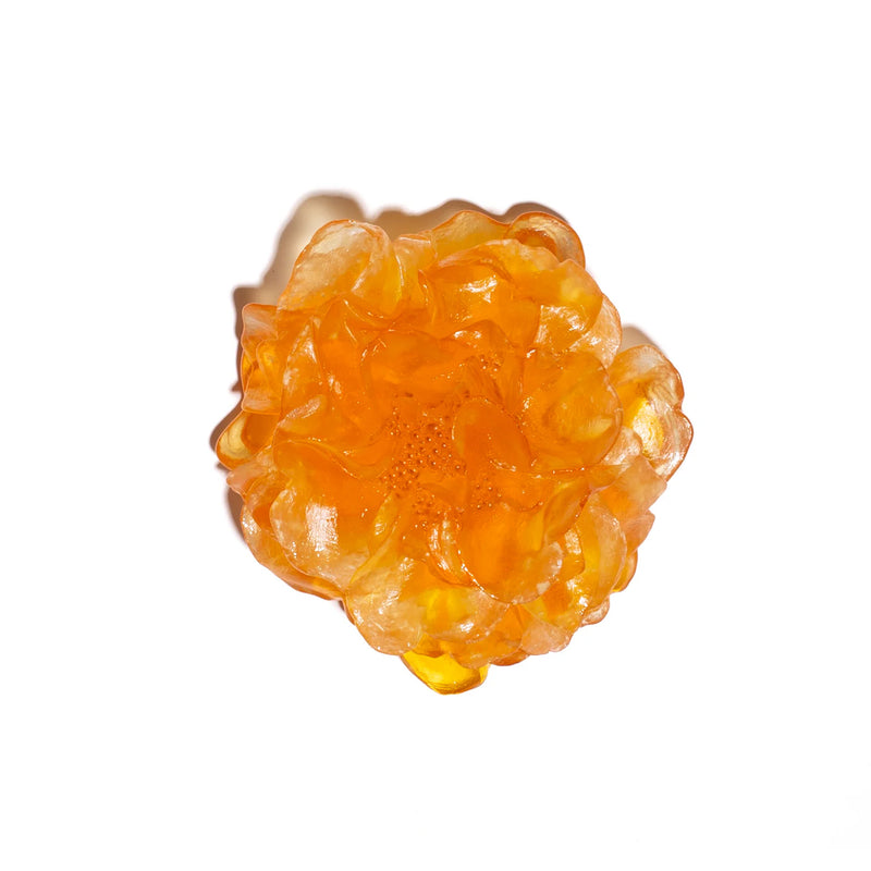 Glass Camelia Wall Sculpture | by Luke Jacomb Studio