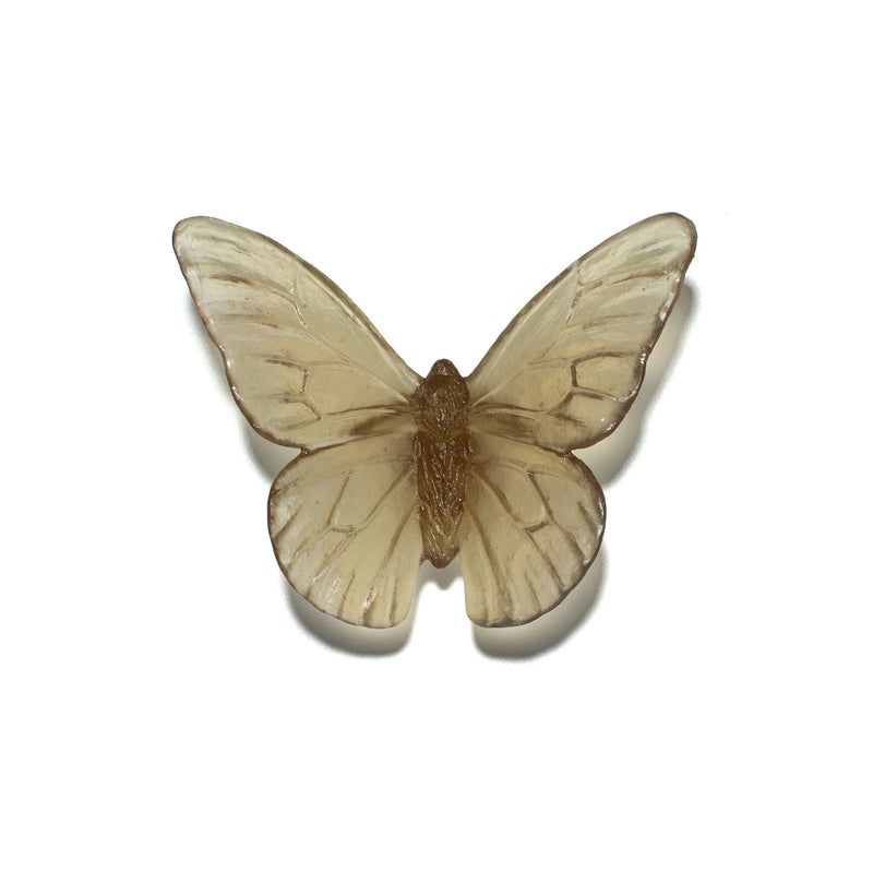 Glass Classic Mount Butterfly Wall Sculpture - Monarch | by Luke Jacomb Studio