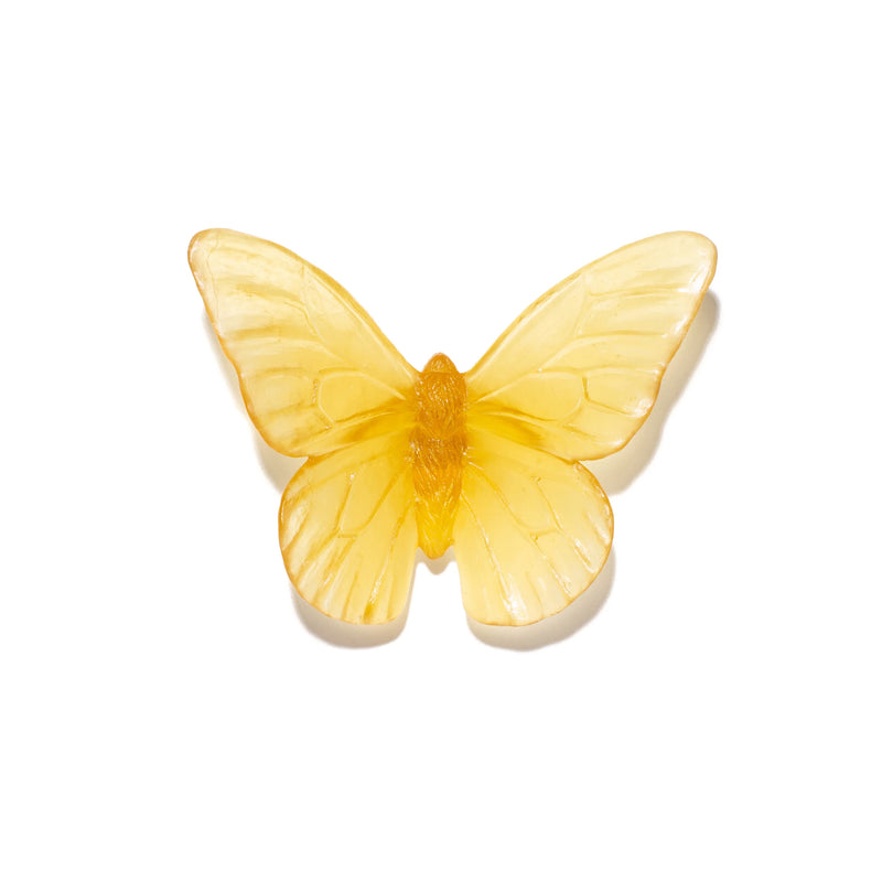 Glass Classic Mount Butterfly Wall Sculpture - Monarch | by Luke Jacomb Studio