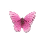 Glass Classic Mount Butterfly Wall Sculpture - Monarch | by Luke Jacomb Studio