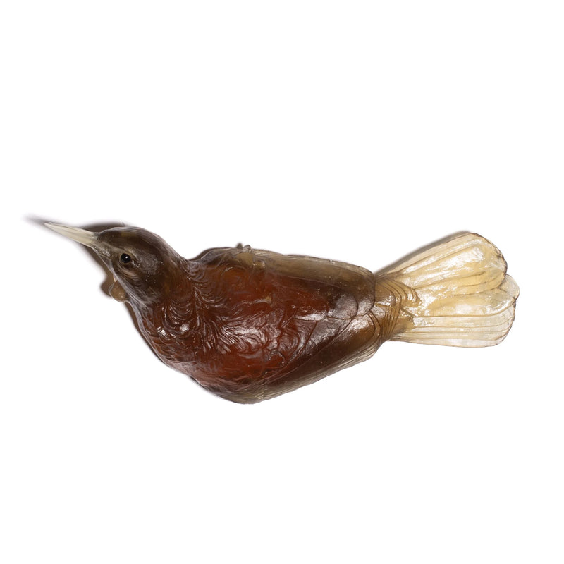 Glass Tuī  Wall Sculpture  | by Luke Jacomb Studio
