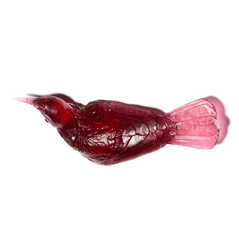 Glass Tuī  Wall Sculpture  | by Luke Jacomb Studio