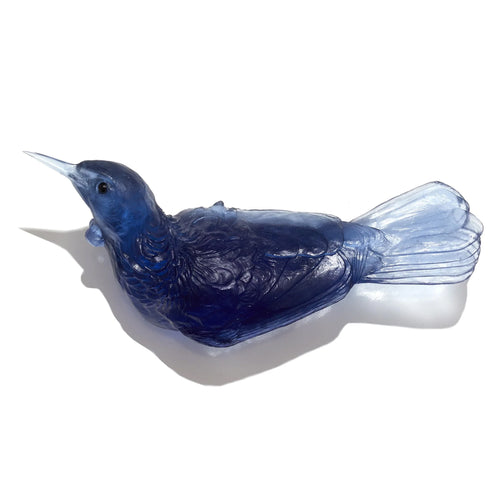 Glass Tuī  Wall Sculpture  | by Luke Jacomb Studio