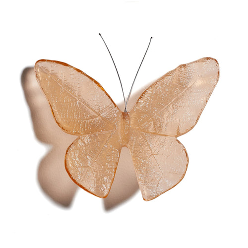 Glass Kinetic Mount Butterfly Wall Sculpture - Monarch / Kahuku | by Luke Jacomb Studio