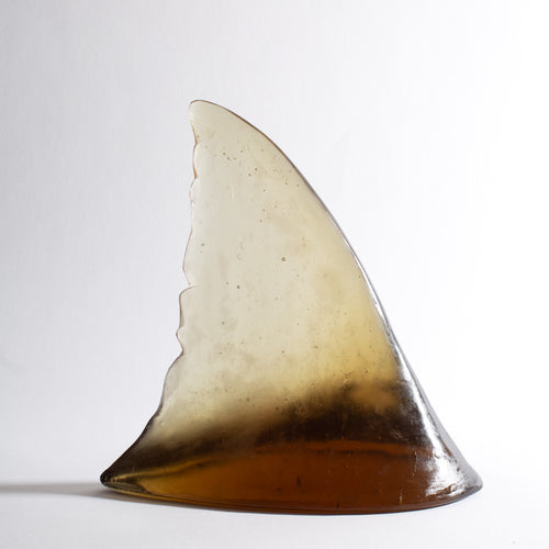 Glass Shark Fin Sculpture - Bronze | by Luke Jacomb Studio