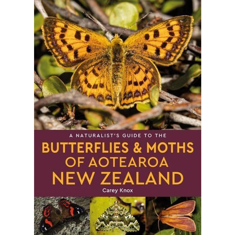 A Naturalist's Guide to the Butterflies & Moths of Aotearoa New Zealand | by Carey Knox