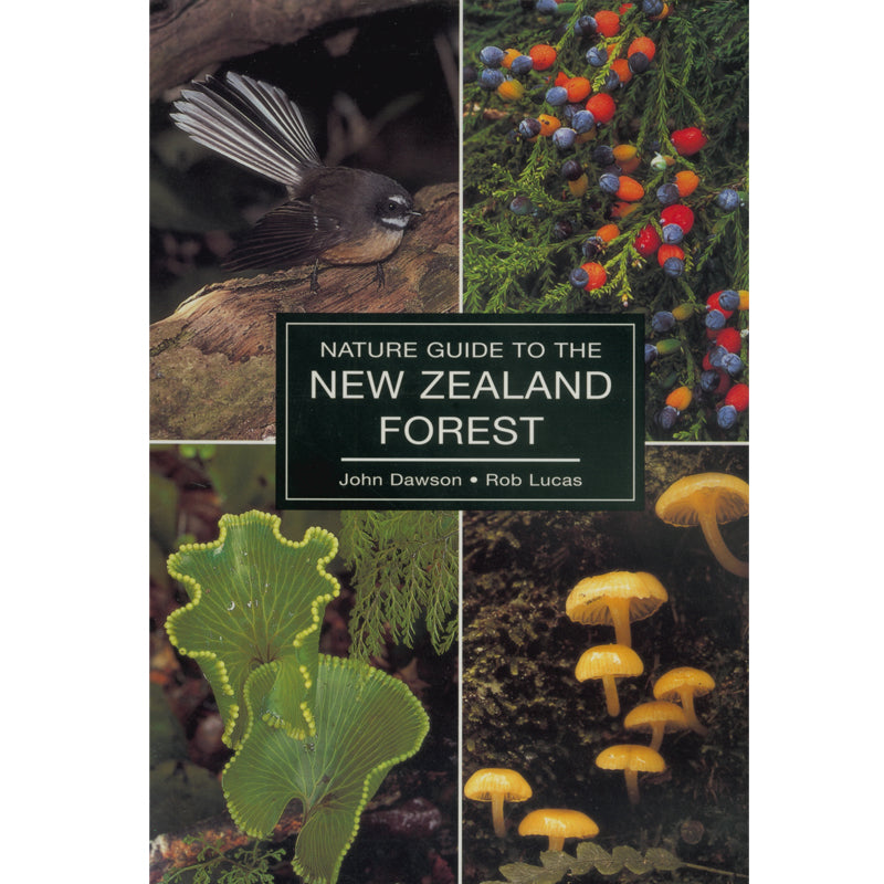 Nature Guide To The New Zealand Forest | by John Dawson & Rob Lucas