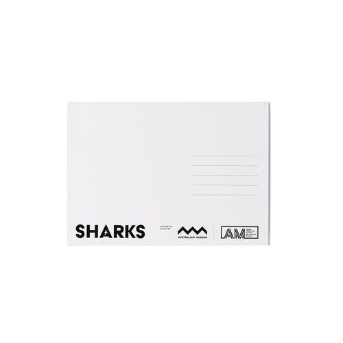 Sharks A5 Postcard