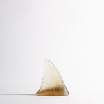 Glass Shark Fin Sculpture - Bronze | by Luke Jacomb Studio