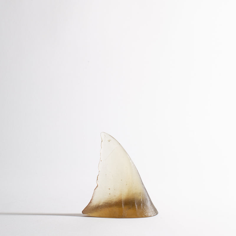Glass Shark Fin Sculpture - Bronze | by Luke Jacomb Studio