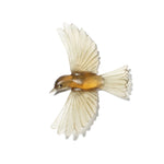 Glass Mōhua / Yellowhead Wall Sculpture  | by Luke Jacomb Studio