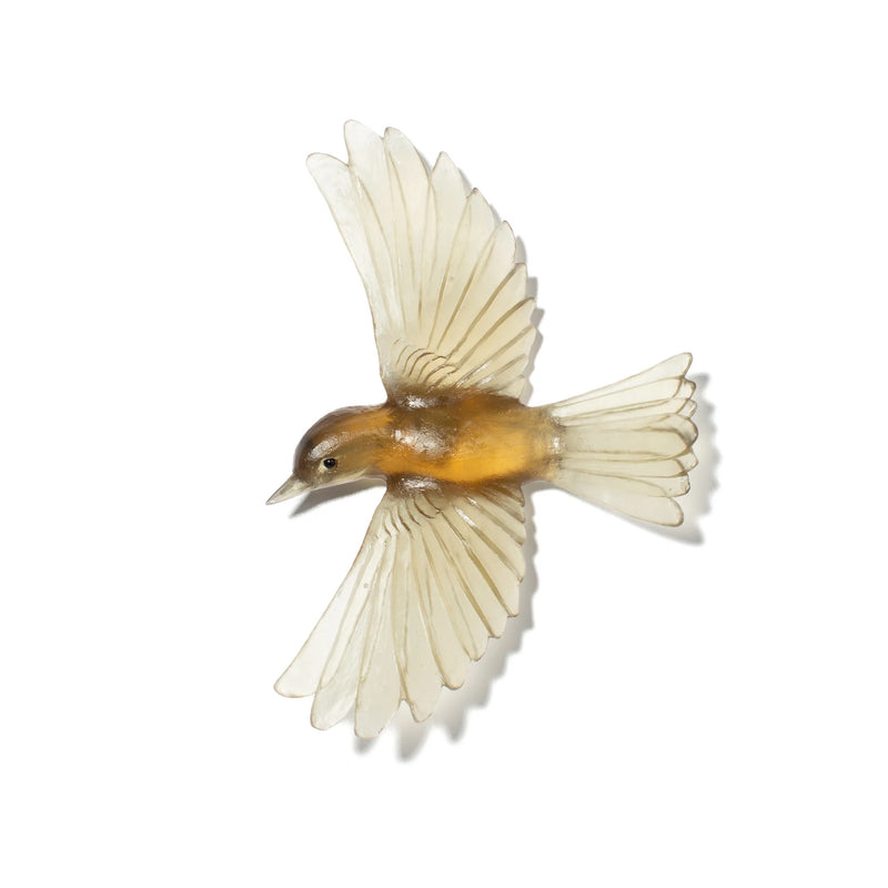 Glass Mōhua / Yellowhead Wall Sculpture  | by Luke Jacomb Studio