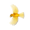 Glass Mōhua / Yellowhead Wall Sculpture  | by Luke Jacomb Studio