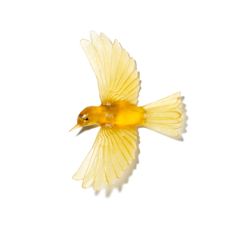 Glass Mōhua / Yellowhead Wall Sculpture  | by Luke Jacomb Studio