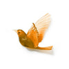 Glass Hihi / Stitchbird  Wall Sculpture  | by Luke Jacomb Studio