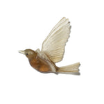 Glass Hihi / Stitchbird  Wall Sculpture  | by Luke Jacomb Studio