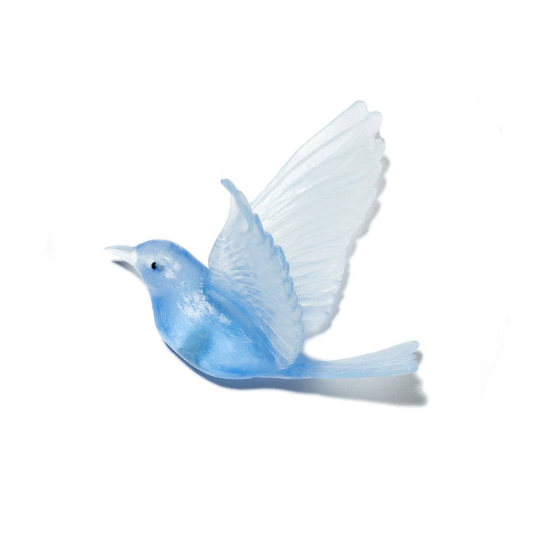 Glass Hihi / Stitchbird  Wall Sculpture  | by Luke Jacomb Studio