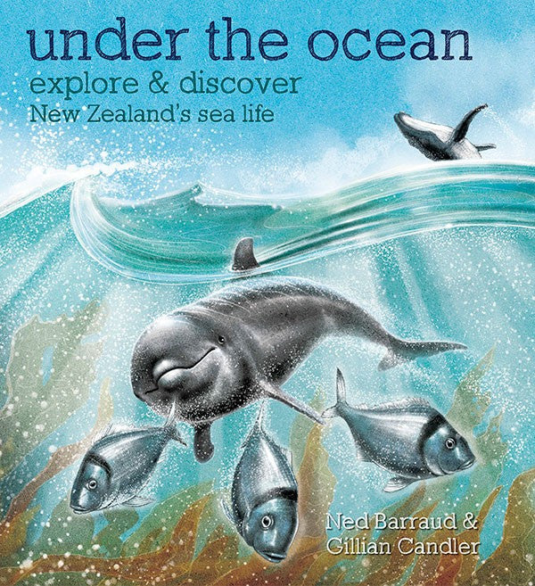 Under the Ocean | By Gillian Candler & Ned Barraud
