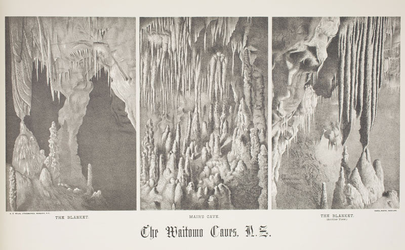 A2 Poster - The Waitomo Caves, NZ