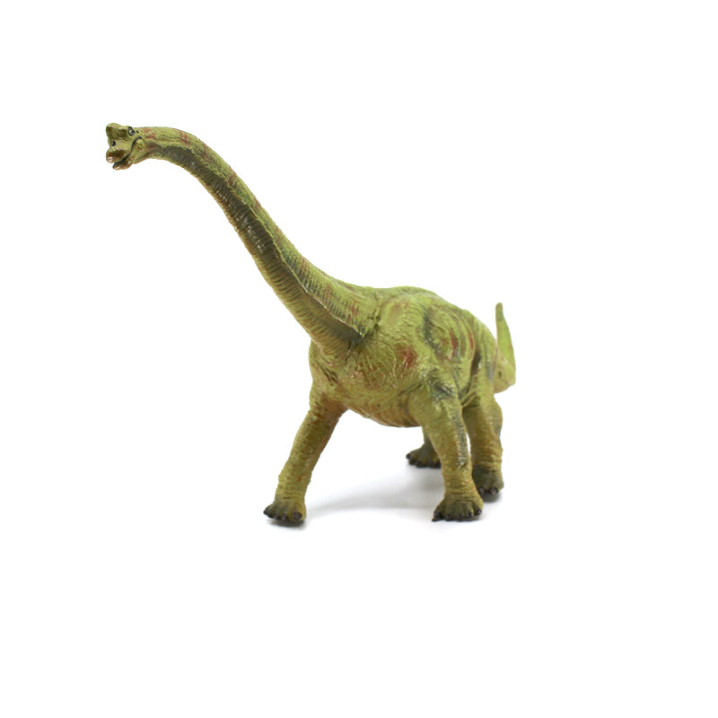 Brachiosaurus Toy – Auckland Museum Online Store