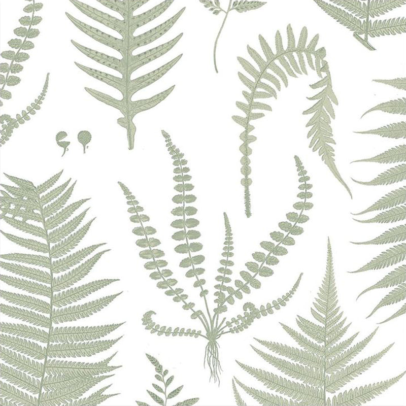 Cotton Napkin - NZ Ferns