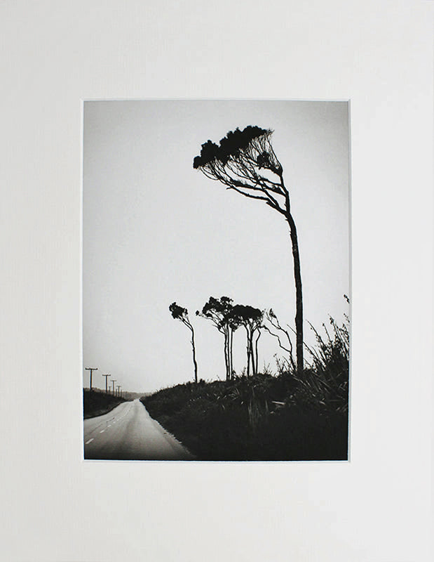 Print - Looking South - Nature Boy: The Photography of Olaf Petersen