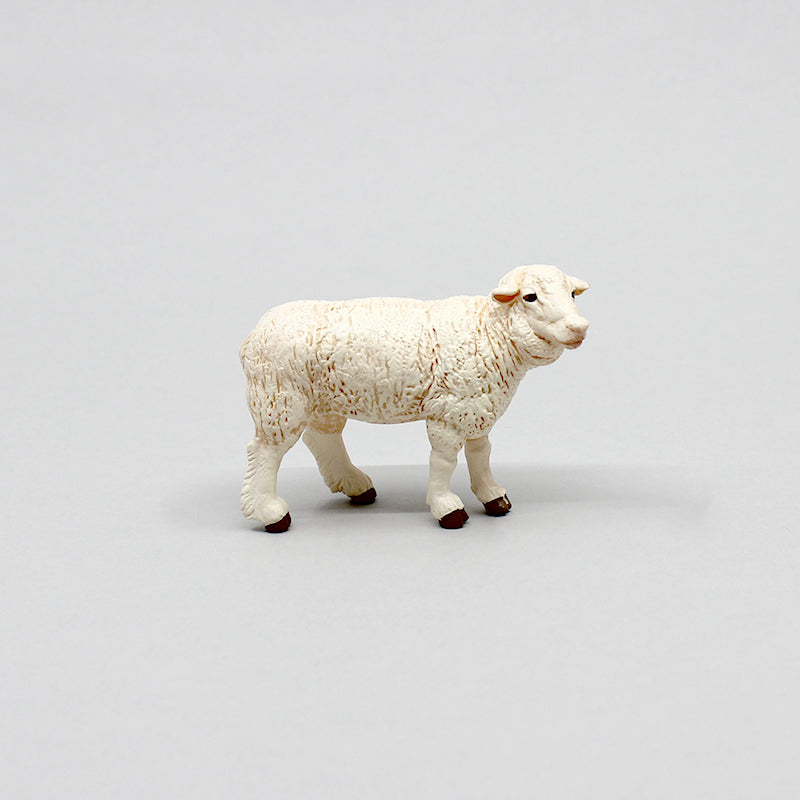 Sheep Toy