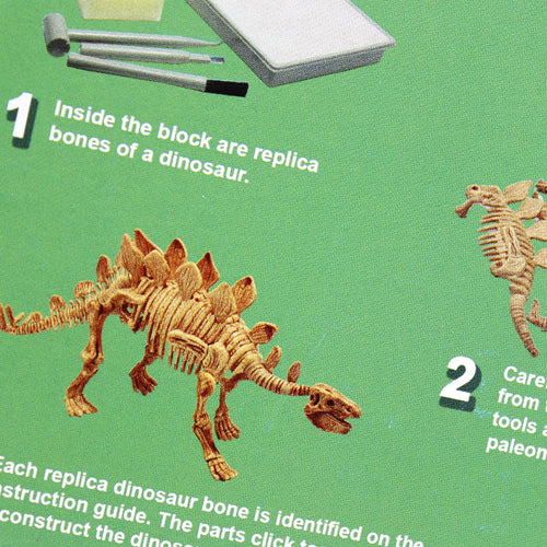 Stegosaurus Excavation Kit