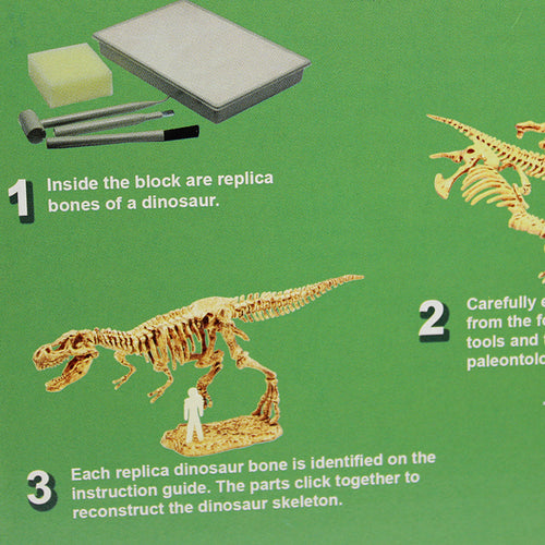 T. Rex Excavation Kit