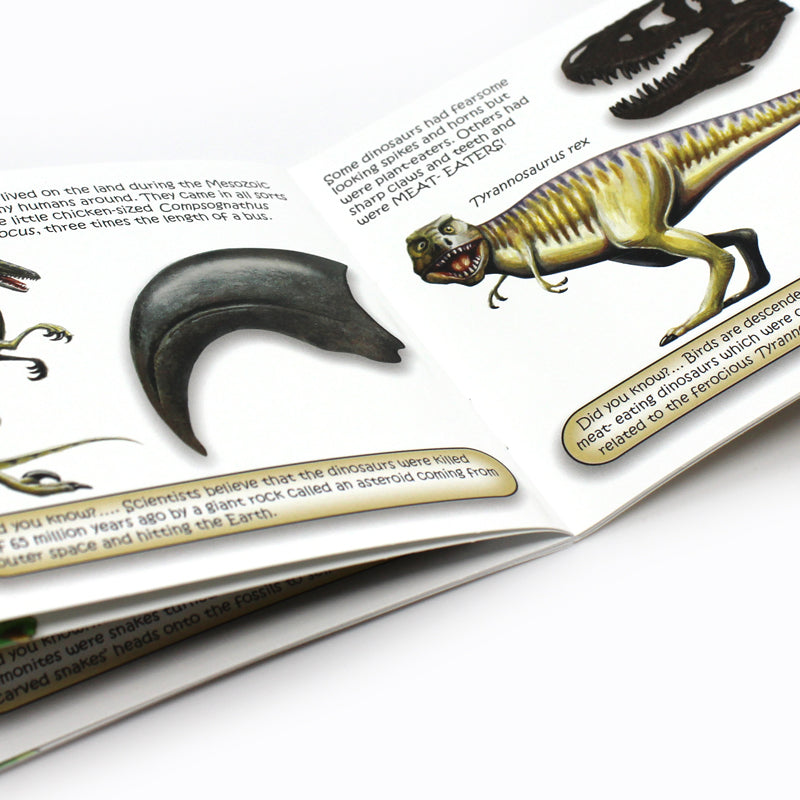 The Study of Fossils Booklet; A Guide for the Younger Fossil Hunter